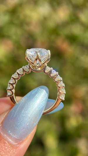 northandsouth