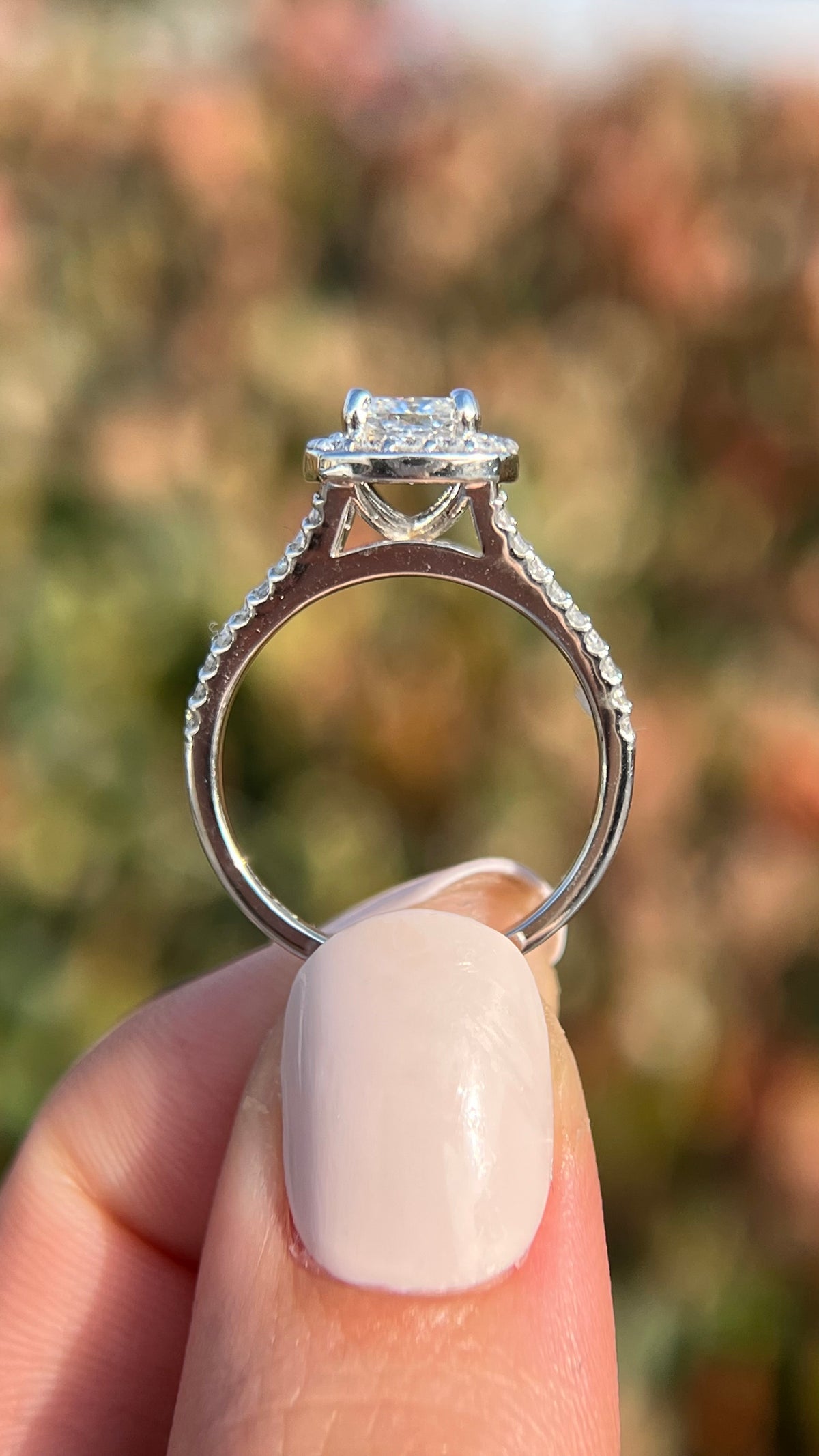 Elena 1.04ct E-VS1 Cushion Cut Lab Grown Diamond Engagement Ring 14K Gold