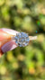 Primm 4.54ct E-VS1 Round Cut Lab Grown Diamond Engagement Ring 14K Gold