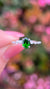 Bella 7x5mm 0.70ct Oval Chrome Diopside Spaced Diamond Ring 14K Gold DFR063