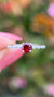 Bella 5mm 0.60ct Round Garnet Spaced Diamond Ring 14K Gold DFR045