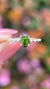Bella 7x5mm 0.70ct Oval Green Tourmaline Spaced Diamond Ring 14K Gold DFR061